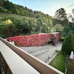 Photo n°4 de l'avis de yahya.a fait le 08/10/2023 à 22:52 sur le  Bar al Parco à Daiano