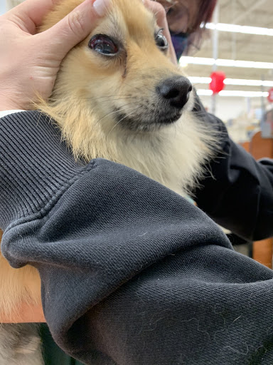 Pet Supply Store «PetSmart», reviews and photos, 11183 S Parker Rd, Parker, CO 80134, USA