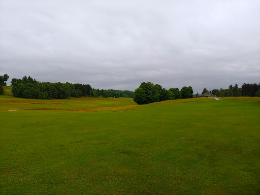 Golf Course «Champion Hill Golf Course», reviews and photos, 501 N Marshall Rd, Beulah, MI 49617, USA