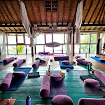 Review Santosha Yoga Institute