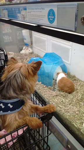 Pet Supply Store «Petco Animal Supplies», reviews and photos, 5925 US-6, Portage, IN 46368, USA