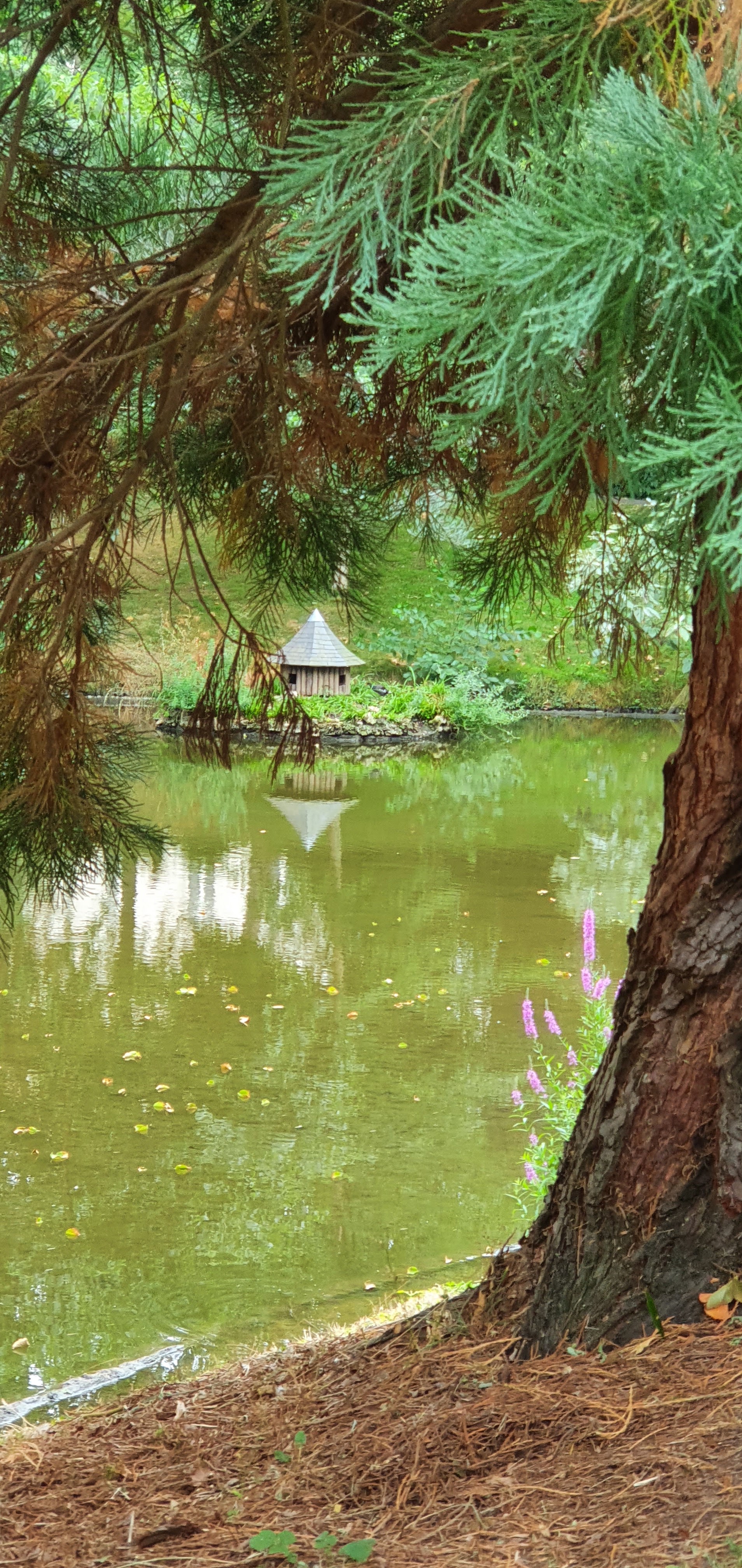 Photo n° 2 de l'avis de Odile.e fait le 14/08/2022 à 15:28