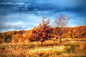 Kráľova hora (lúka nad Dlhými dielmi) image