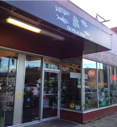 Pet Supply Store «Wet Spot Tropical Fish», reviews and photos, 4310 NE Hancock St, Portland, OR 97213, USA