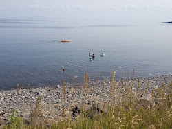 Burlington Bay Beach'in fotoğrafı vahşi alan