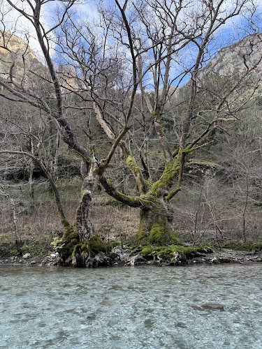 Trekking Hellas Ioannina Rafting Base Ανοιχτές ώρες