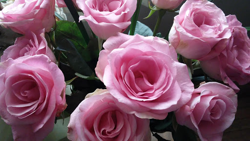 Florist «Flower Express», reviews and photos, 1837 Gallatin Pike N, Madison, TN 37115, USA