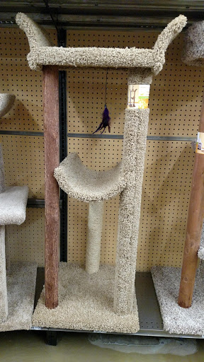 Pet Supply Store «Pet Supplies Plus», reviews and photos, 400 Lowell Ave Suite 14, Haverhill, MA 01832, USA