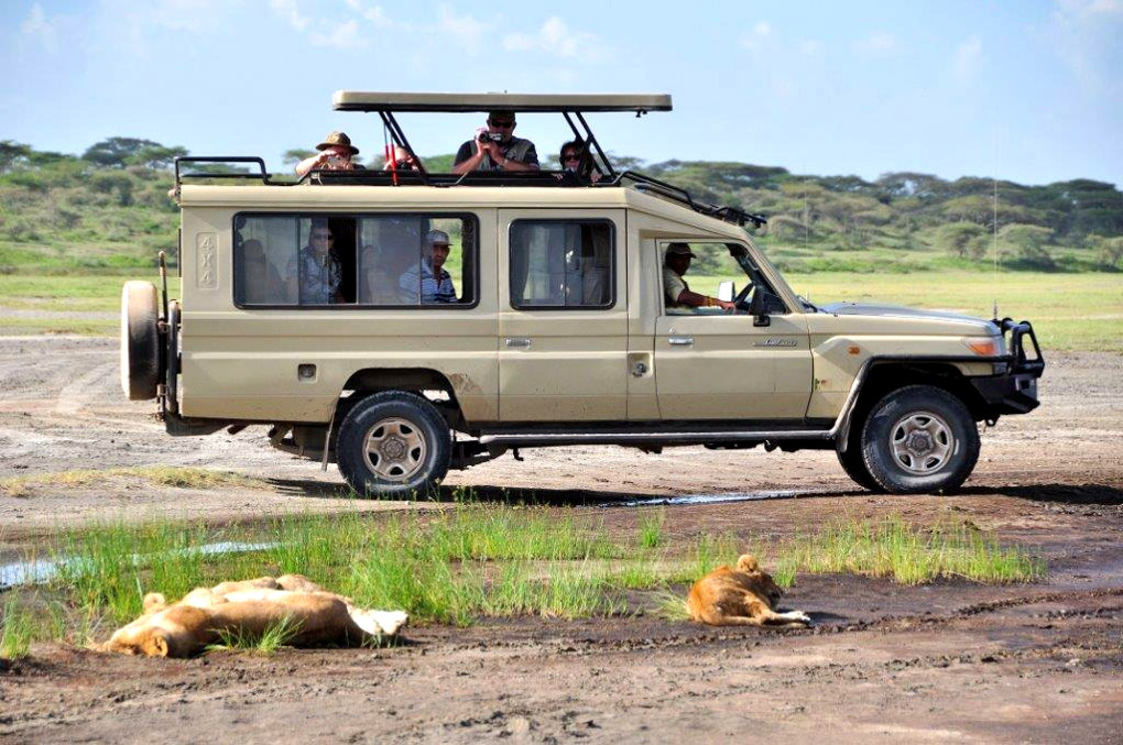 Wildlife safaris Tanzania DMC