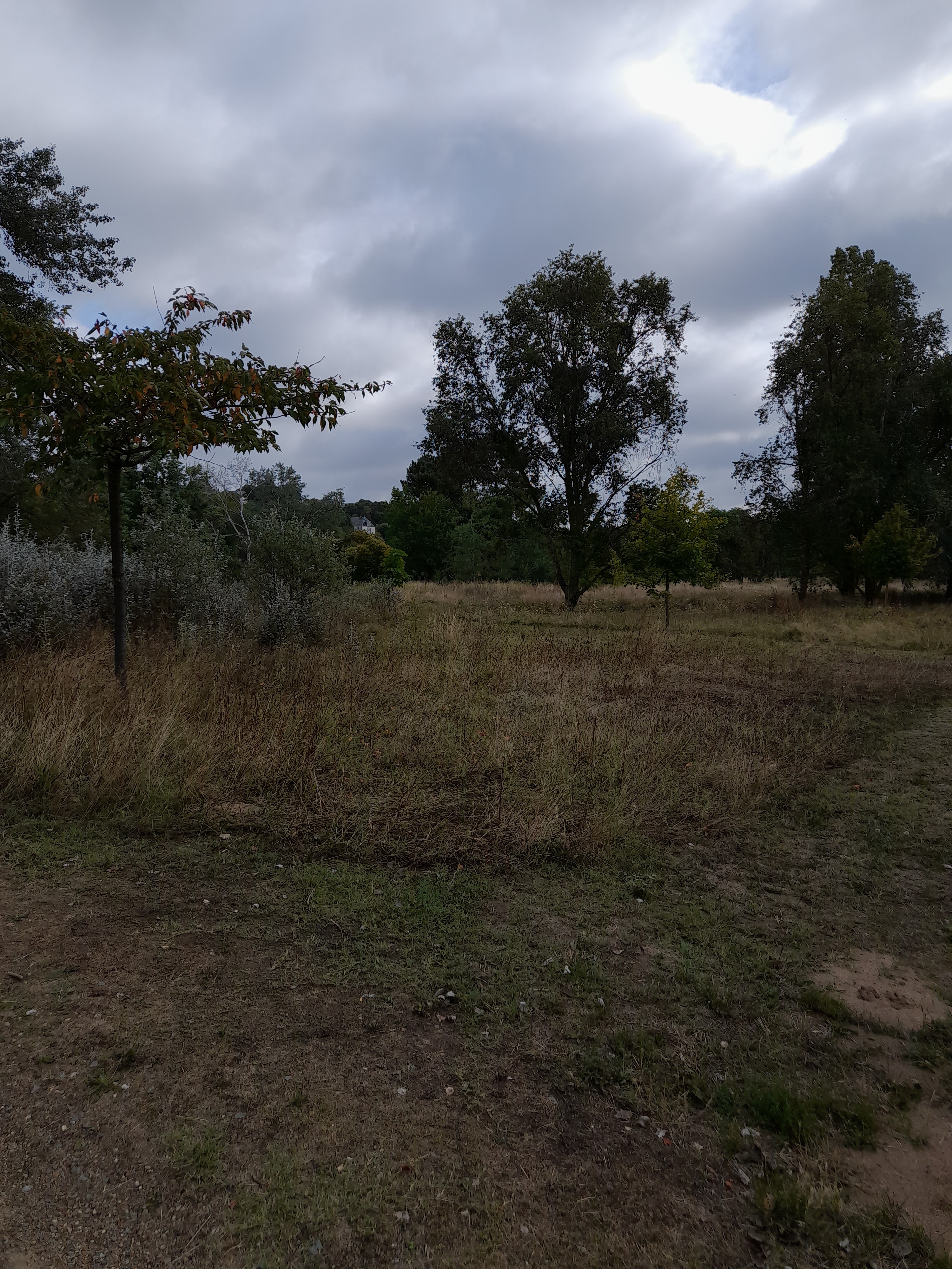 Photo n° 2 de l'avis de Philippe.o fait le 05/08/2023 à 15:34