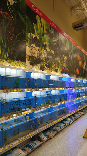 Pet Supply Store «PetSmart», reviews and photos, 11331 Causeway Blvd, Brandon, FL 33511, USA