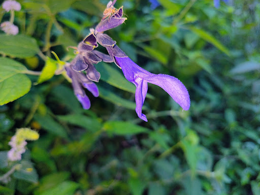 Nature Preserve «Reynolds Nature Preserve», reviews and photos, 5665 Reynolds Rd, Morrow, GA 30260, USA