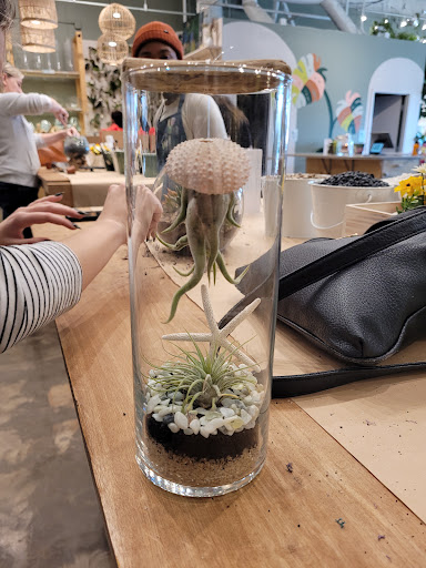 Shopping Mall «The Shops at Hilltop», reviews and photos, 1604 Hilltop West Shopping Center, Virginia Beach, VA 23451, USA