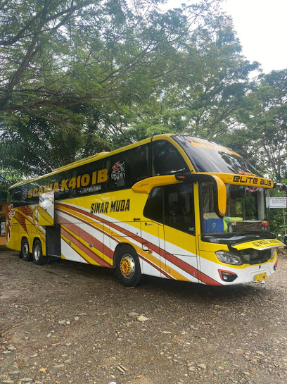 Terminal Bus Malili