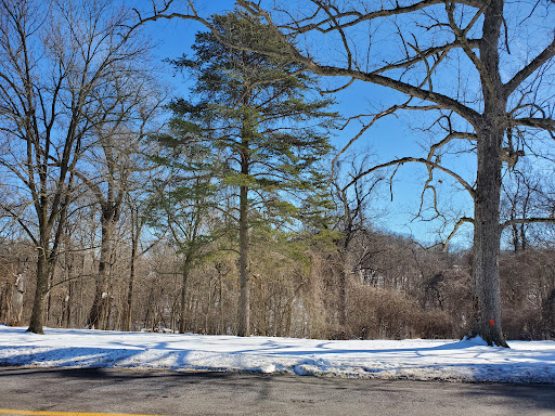 Recreation Center «Go Ape Zip Line & Treetop Adventure - Creve Coeur Park», reviews and photos, 13219 Streetcar Dr, Maryland Heights, MO 63043, USA