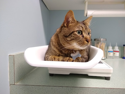 1540 Cross Creeks Blvd, Pickerington, OH 43147, USA