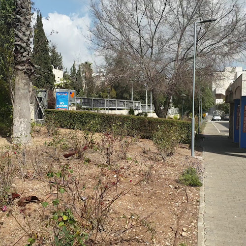 Opinii despre משגב לדך în ירושלים - בית חולים