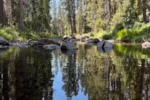 Yosemite Creek Campground image