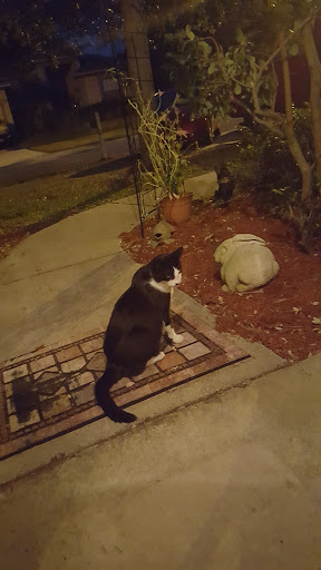 Park «Covington Park CDD», reviews and photos, 6806 Covington Garden Dr, Apollo Beach, FL 33572, USA