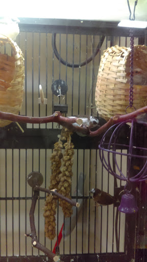 Pet Supply Store «PetSmart», reviews and photos, 10460 Town Center Dr, Westminster, CO 80021, USA