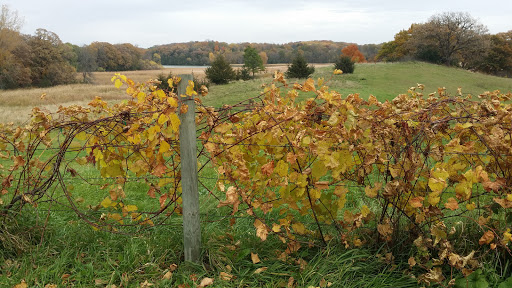 Winery «Parley Lake Winery», reviews and photos, 8280 Parley Lake Rd, Waconia, MN 55387, USA