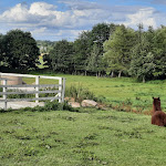 Photo n°5 de l'avis de Angelika.a fait le 01/08/2021 à 16:34 sur le  Bauernhofcafe Hacienda Christiansen à Almdorf