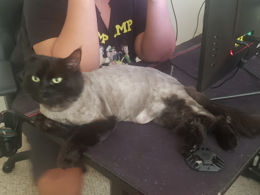 Pet Supply Store «Pet Haven», reviews and photos, 626 N Glenoaks Blvd, Burbank, CA 91502, USA