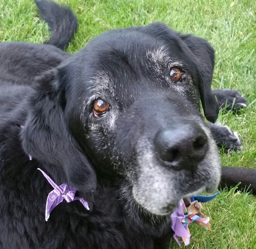 Clearwater Valley Veterinary image