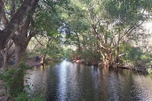 Lomas de Barbudal Biological Reserve image