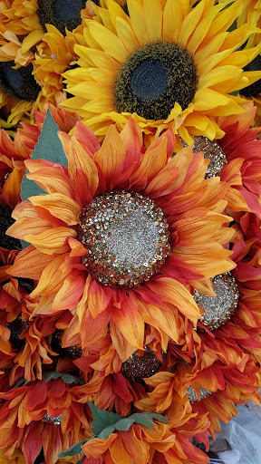 Craft Store «Michaels», reviews and photos, 9090 N Green Bay Rd, Brown Deer, WI 53209, USA