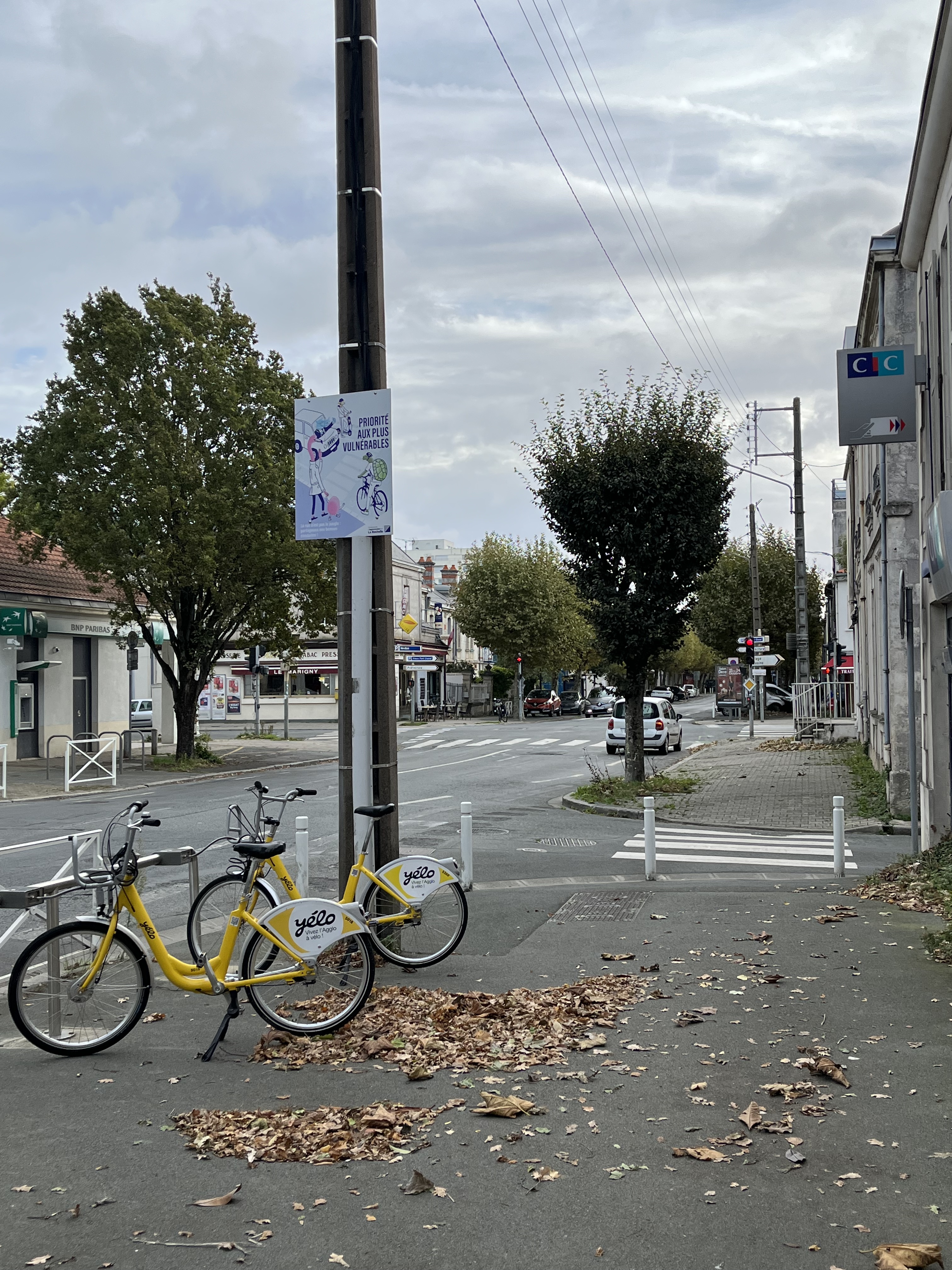 Photo n° 6 de l'avis de Martin.o fait le 24/10/2022 à 12:51