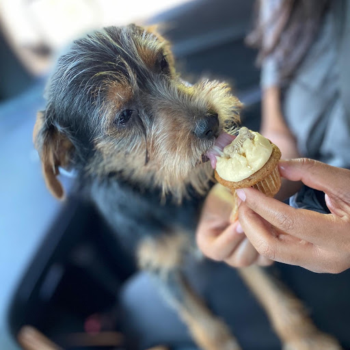 Cupcake Shop «Smallcakes: A Cupcakery of Naperville», reviews and photos, 115 E Ogden Ave #119, Naperville, IL 60563, USA