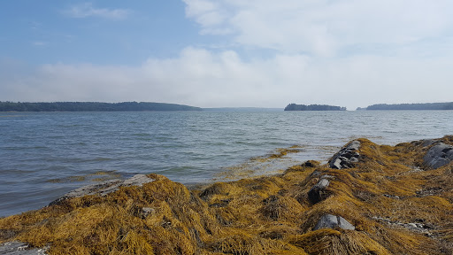 Tourist Attraction «Chinatown Gate», reviews and photos, John F Fitzgerald Surface Rd, Boston, MA 02111, USA