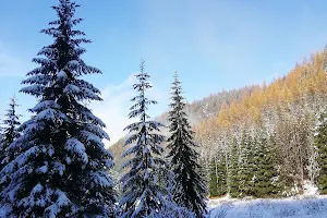 Kasa TPN wejście na Halę gąsienicową/ Krzyżne image