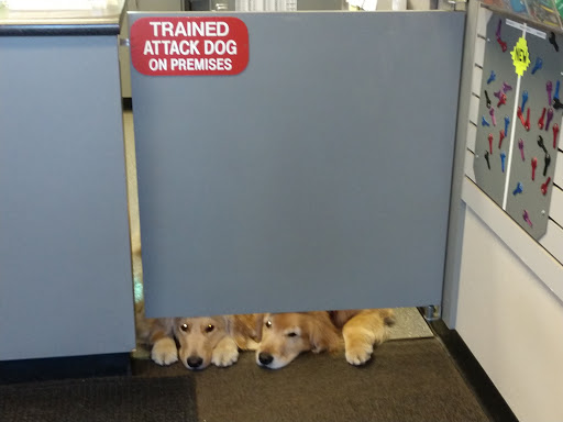 Safe & Vault Shop «Redwood Lock & Key», reviews and photos, 5700 Commerce Blvd, Rohnert Park, CA 94928, USA