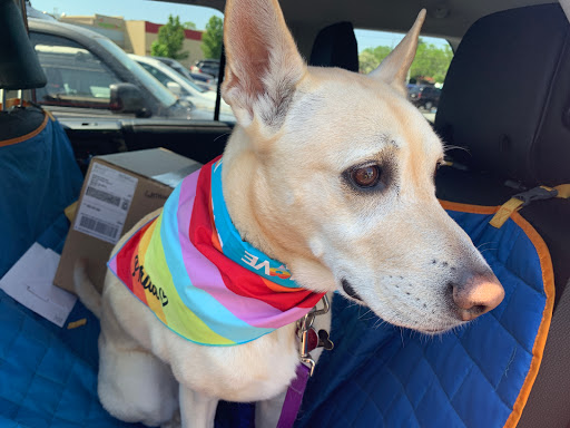 Pet Supply Store «PetSmart», reviews and photos, 1850 30th St, Boulder, CO 80301, USA