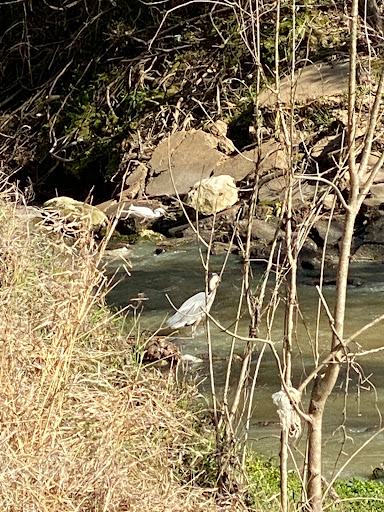 Park «Telge Park», reviews and photos, 12400 Pleasant Grove Rd, Cypress, TX 77429, USA