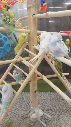 Pet Supply Store «Petco Animal Supplies», reviews and photos, 3055 Columbia Blvd #117, Titusville, FL 32780, USA