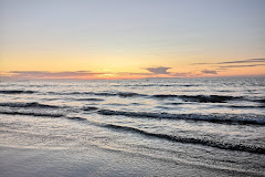 Raumati Marine Gardens