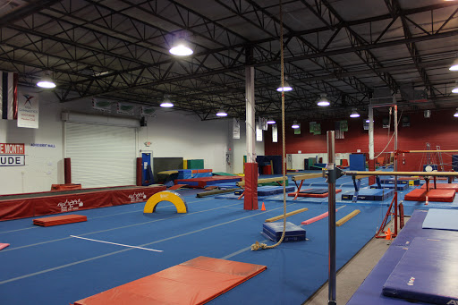 Gymnastics Center «American Allstars», reviews and photos, 3275 Martin Rd #125, Commerce Charter Twp, MI 48390, USA