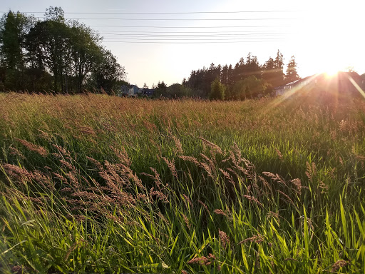 Park «Pioneer Park», reviews and photos, 14545 NW Pioneer Rd, Beaverton, OR 97006, USA