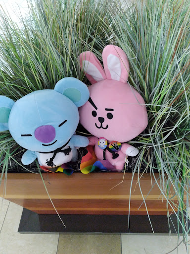 Shopping Mall «Coastland Center», reviews and photos, 1900 Tamiami Trail N, Naples, FL 34102, USA