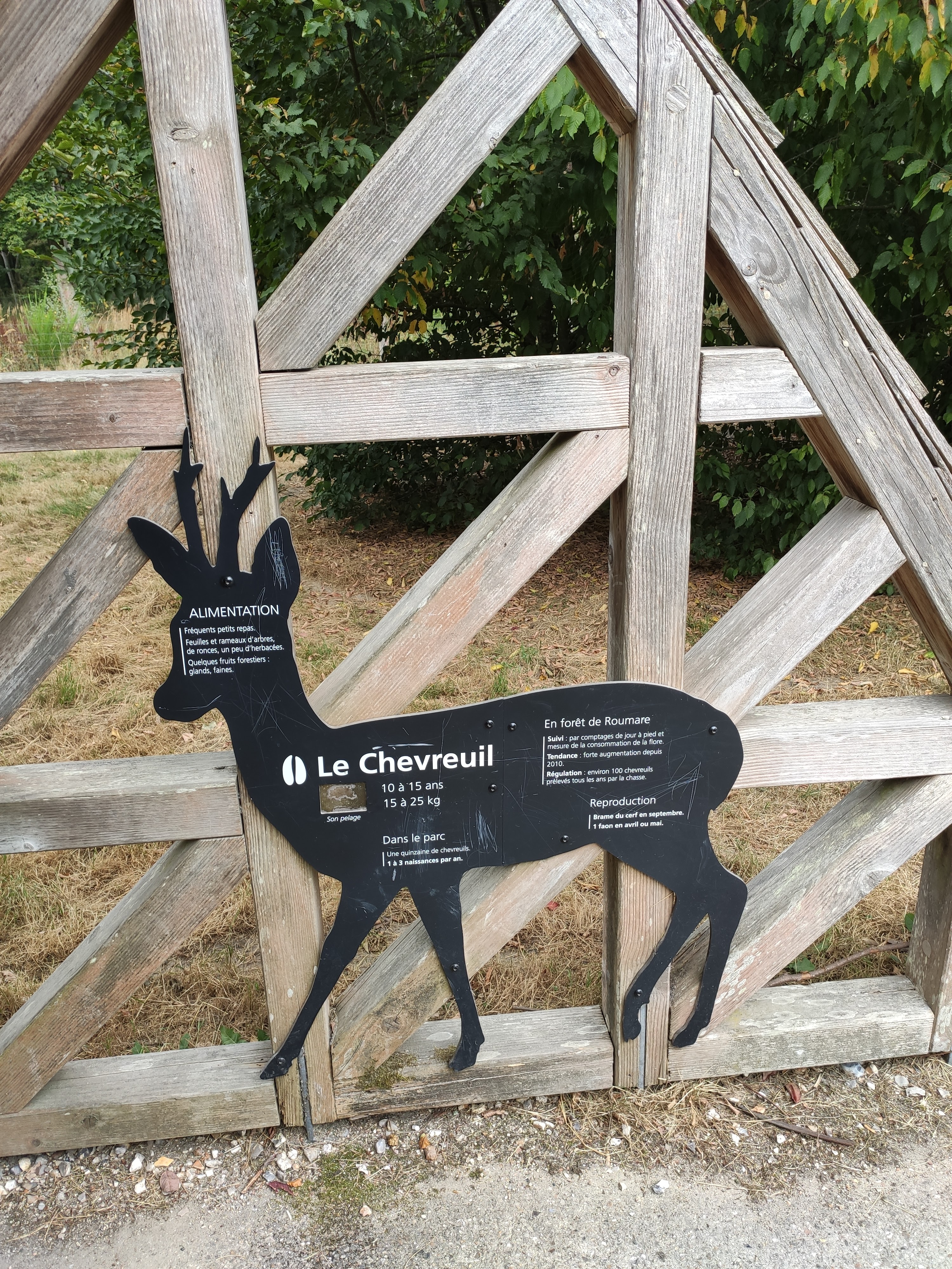 Photo n° 1 de l'avis de LAMBERT.r fait le 16/08/2022 à 19:17