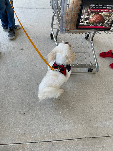 Pet Store «DipidyDawg Gourmet Dog Bakery & Boutique», reviews and photos, 21301 S Tamiami Trail Suite 430, Estero, FL 33928, USA