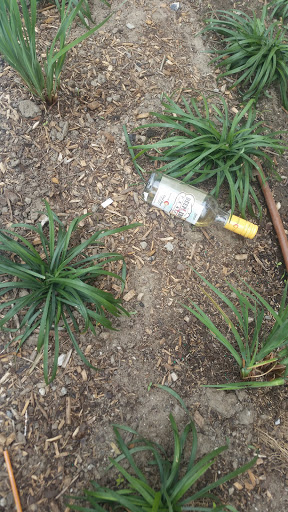 Liquor Store «Seaport Wine & Spirits», reviews and photos, 407 D St, Boston, MA 02210, USA