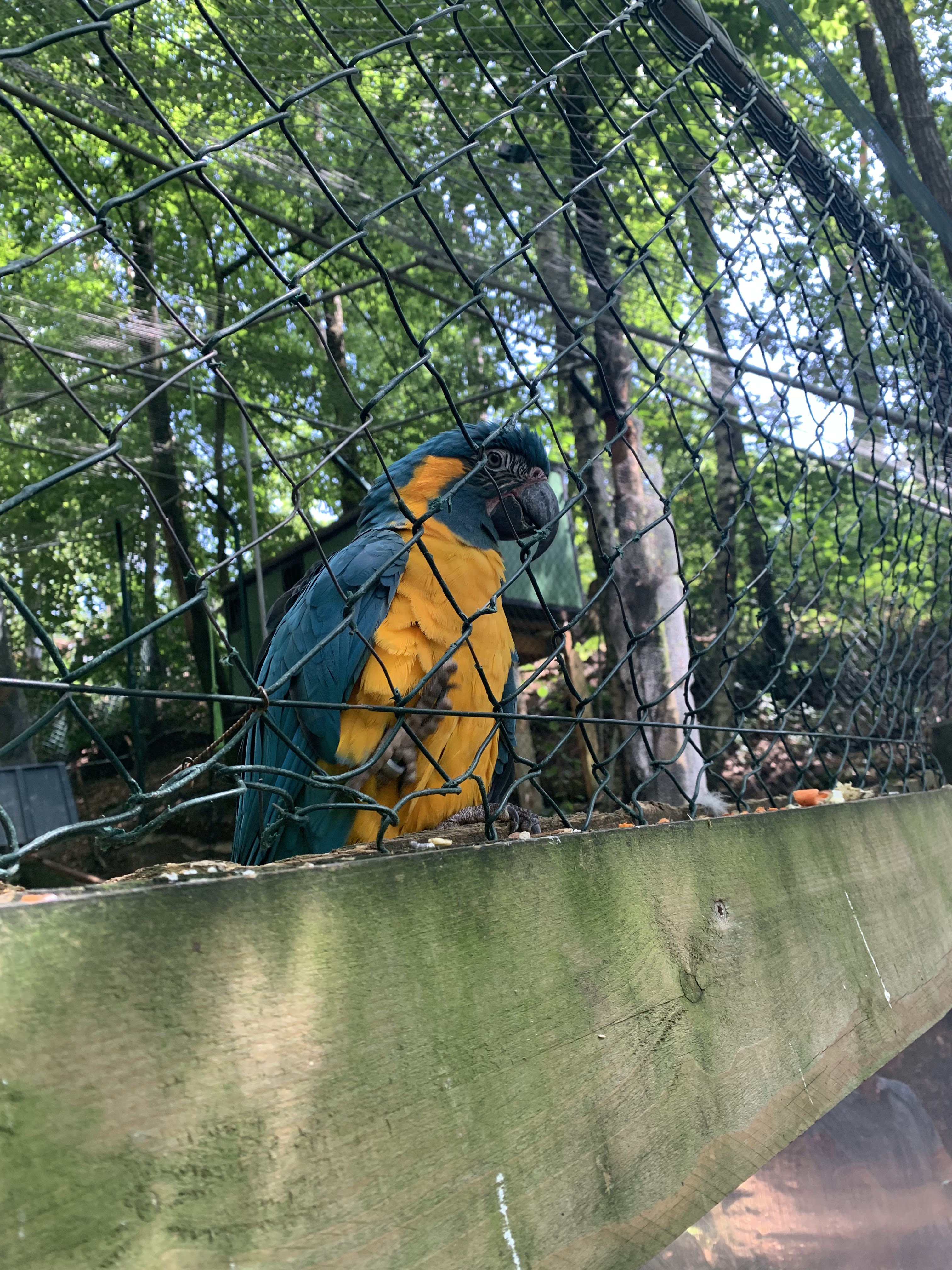 Photo n° 1 de l'avis de Tiffany.e fait le 21/08/2019 à 15:49