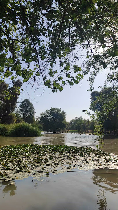 Laguna Parque O'Higgins