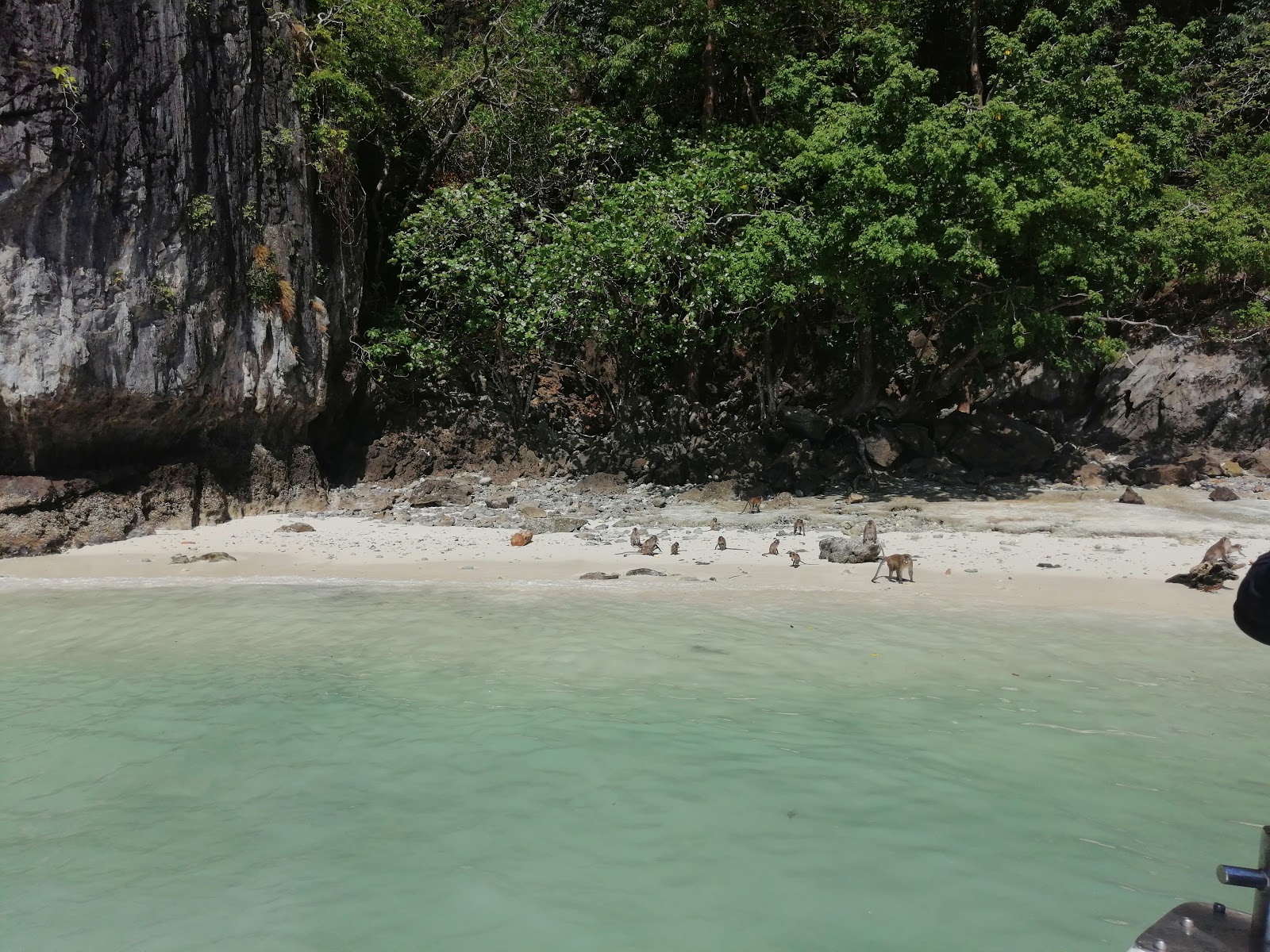 Fotografie cu Monkey Bay Beach amplasat într-o zonă naturală