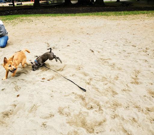 Park «Irving Park», reviews and photos, 707 NE Fremont St, Portland, OR 97212, USA