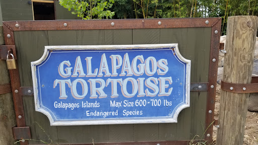 Zoo «Alligator Adventure», reviews and photos, 4604 Hwy 17 S, North Myrtle Beach, SC 29582, USA